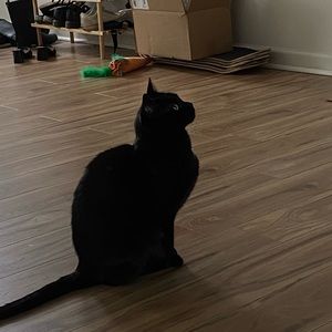 Meet your Posher, Caitlin